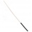 rattan cane
